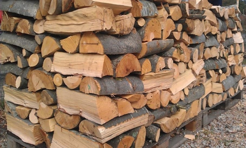 Над 15 кубика незаконно добита дървесина установили полицаи от Видин