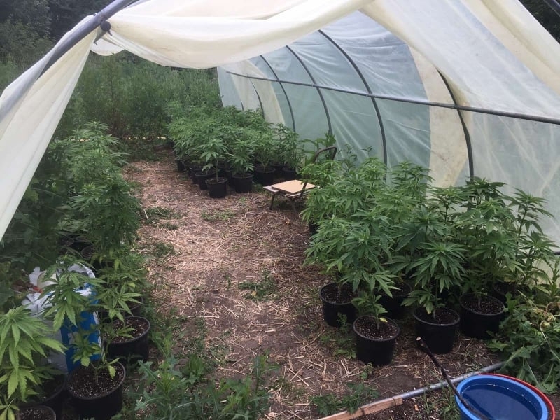 Районен съд Враца постанови най тежката мярка за неотклонение задържане