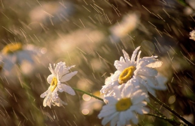 Днес облачността ще е променлива В източните райони на отделни