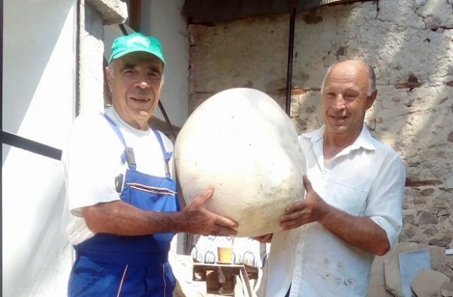 Пчелари от чепеларското село Орехово намериха гъба достойна за рекордите на