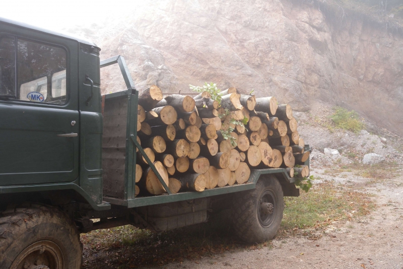Спипаха румънец натоварил повече дърва на камиона си във Видинско