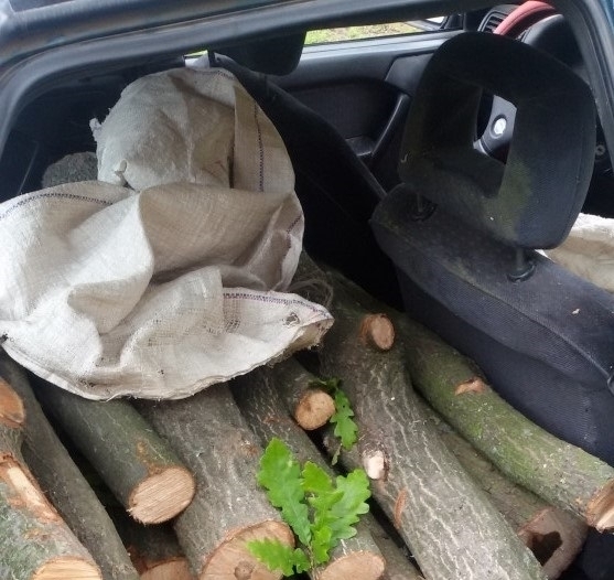 Около 13 часа вчера в монтанското сел Винище служители на