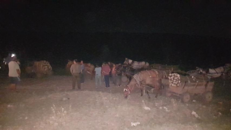 Горски служители заловиха бракониери с незаконни дърва във Врачанско /снимки/