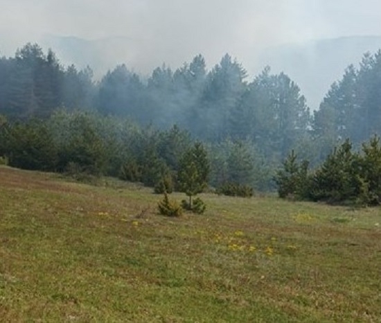 Голям горски пожар пламна край Добринище в ранния следобед. Огънят