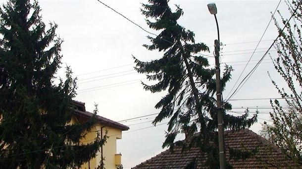 Червен код за силен вятър обявиха от НИМХ и за