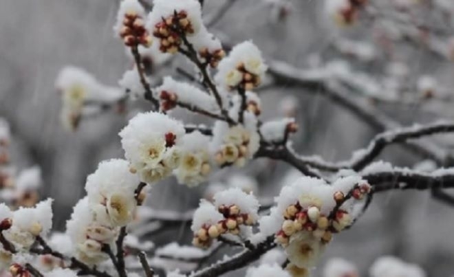 Жълт код за валежи от дъжд и вятър е издаден за