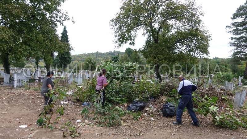 Започна мащабно почистване на гробищния парк в Берковица съобщиха от местната