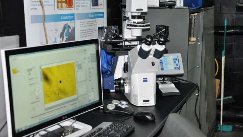 Общинският фонд Ин витро в Лом подпомогна финансово три семейни