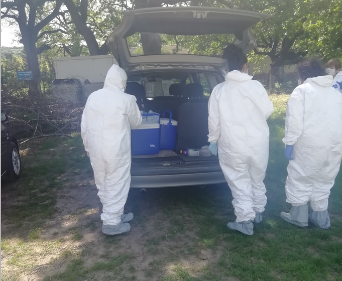 598 с 229 по малко случая от вчера са новодиагностицираните с