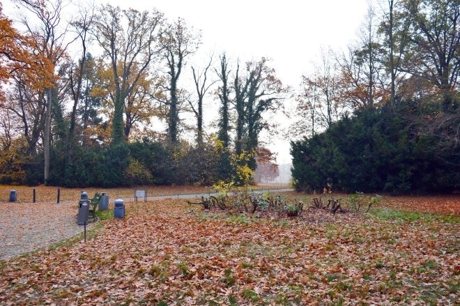 През нощта и утре над Северна и Източна България ще