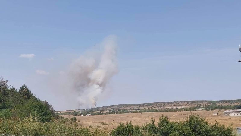 Гори шести център от птицекомбината в село Мраморен научи агенция