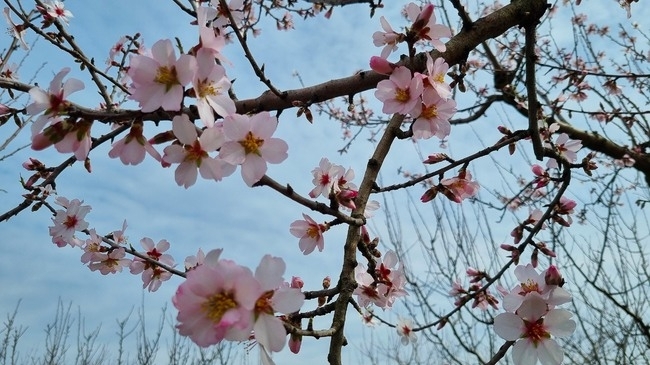 Днес облачността ще бъде значителна с превалявания от дъжд на