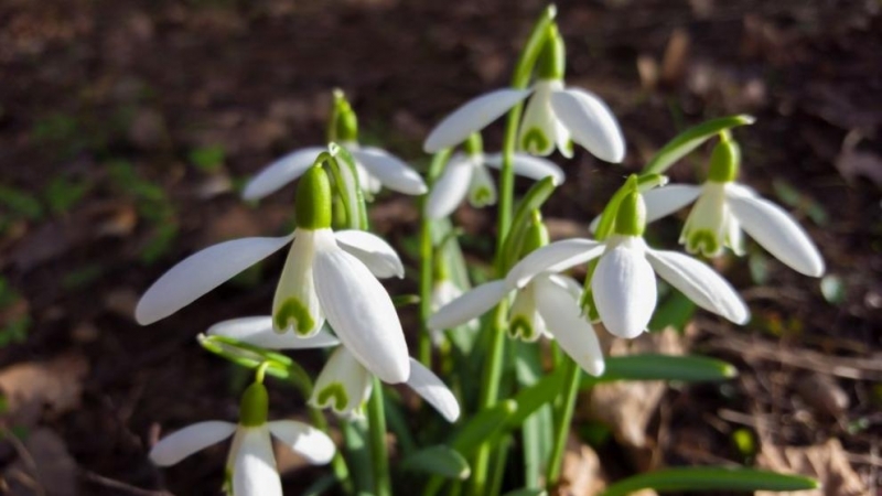 С пролетни температури изпращаме последния ден от работната седмица Цели 18° са измерени