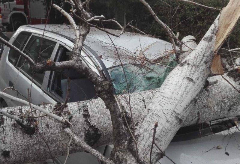 Бедствена е ситуацията и в Монтана вследствие на силния вятър