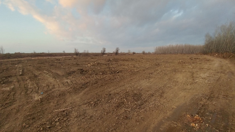 Залесяване на 500 декара предимно с тополи е предвидено за