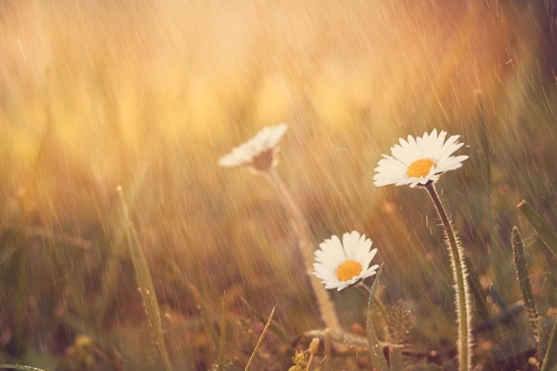 Днес преди обяд над България ще преобладава слънчево време След