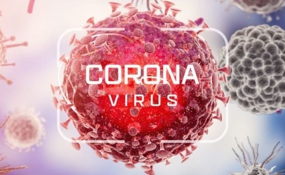 Германия съобщи за рекорден брой нови случаи на коронавурус -