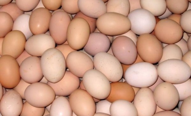 Яйца от птицефермата в Генерал Тошево където е открит птичи