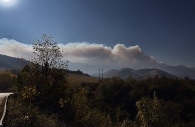 Голям пожар бушува в Чипровският Балкан научи BulNews bg Димът от