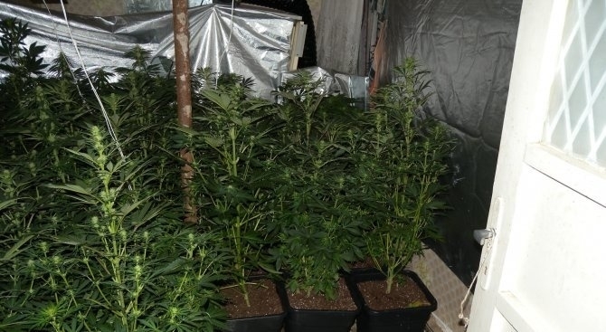 Съвместна специализирана полицейска операция за противодействие на производството съхранението и