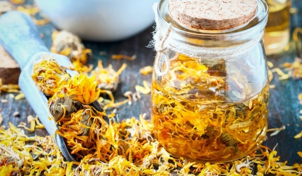 Невенът може да се използва както вътрешно така и външно като