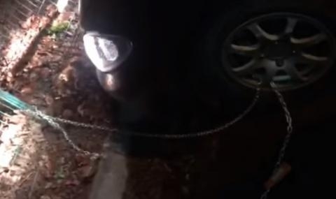 В борбата си срещу скъпите паркови и евакуационни служби всички