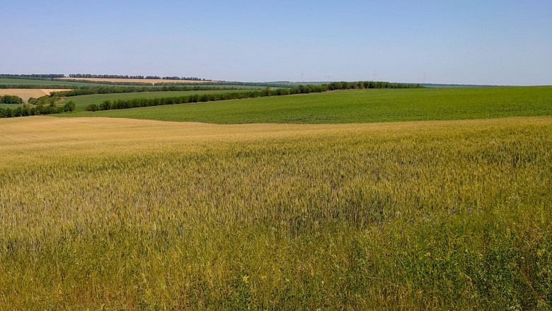 Днес ще бъде предимно слънчево с разкъсана висока облачност След