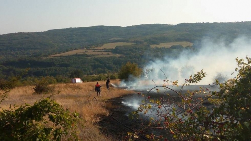 Пожари в над 1500 дка сухи треви и храсти гасига