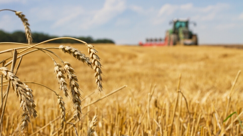 Украйна е готова да приеме ограничения върху търговията си с