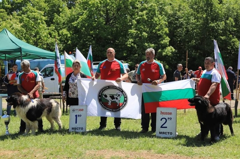 Kлуб Българско овчарско куче – Берковица взе участие в XI