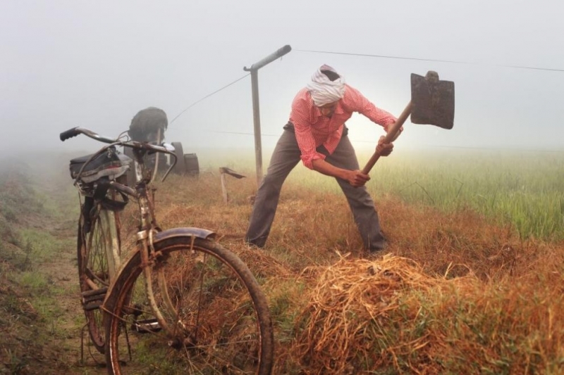 Селскостопанската работа на открито в следобедни часове през най горещите дни