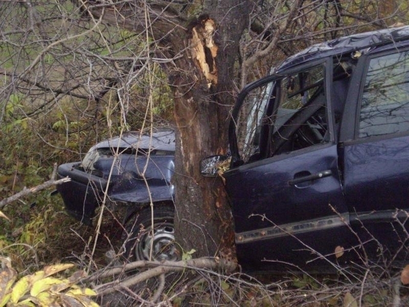 Пиян шофьор катастрофирал в дърво и ранил две деца бе