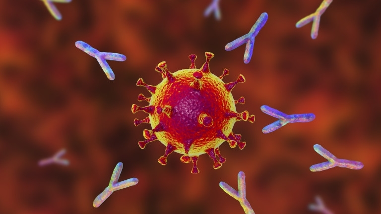 24 са активните случаи на коронавирус в област Видин сочат