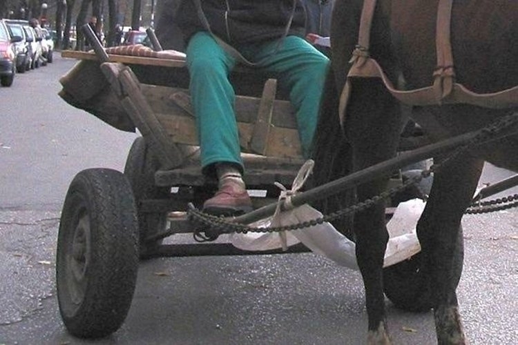 Пипнаха пиян каруцар в Бяла Слатина