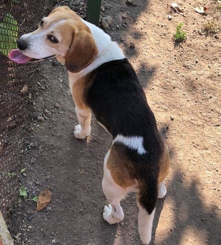 По малко от 1 час бе необходим за да бъде намерено