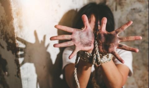 Крими героите в дивия Северозапад не свършват Последната куриозна изцепка