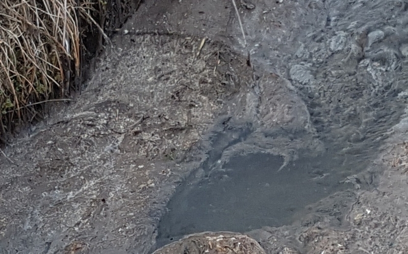 Експерти от Регионалната инспекция по околната среда и водите провериха