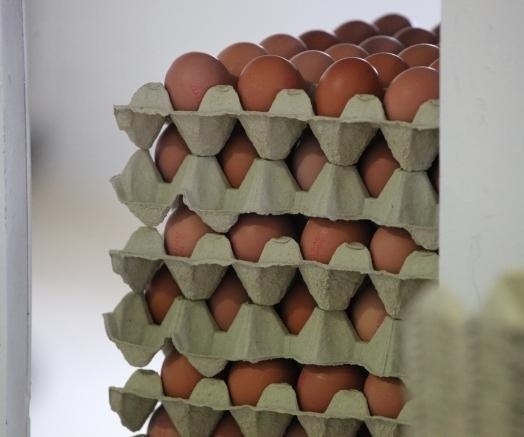 На 1 февруари около 19 30 часа на входа на