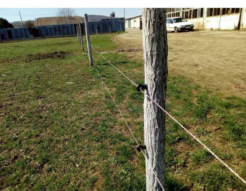 Жена е откраднала 40 дървени колове на електропастира в Козлодуй