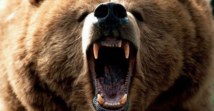 През април експерти от Групата за бързо реагиране при РИОСВ Смолян