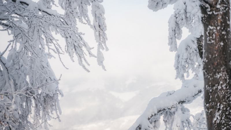 През вчерашния ден са станали пет инцидента с туристи в района