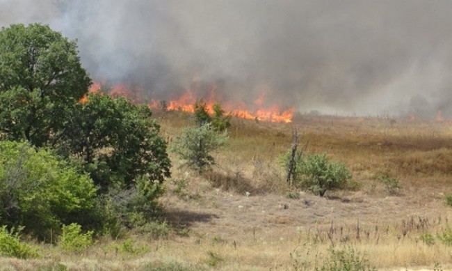 Четири деца причинили пожар по непредпазливост в района на Велинград са установени