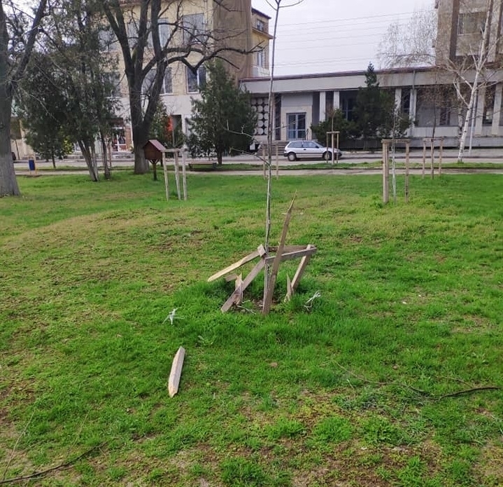 За броени часове полицията в Бяла Слатина разкриха вандалите вилнели