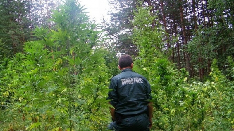 Районна прокуратура Монтана Териториално отделение Лом приключи делото