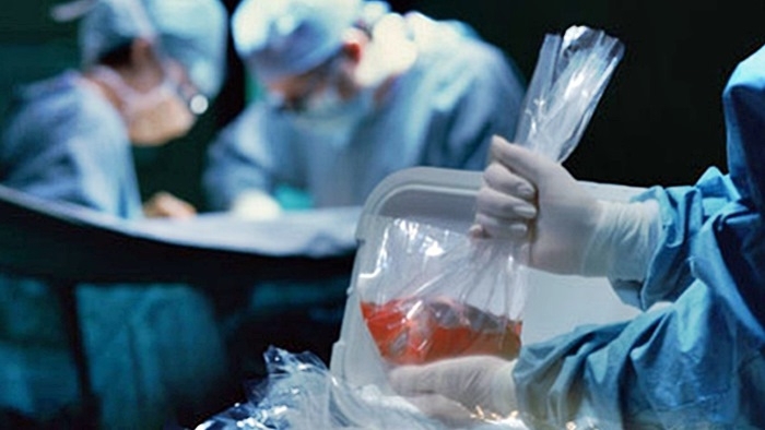 Близо половината от дарените органи не са годни за трансплантации