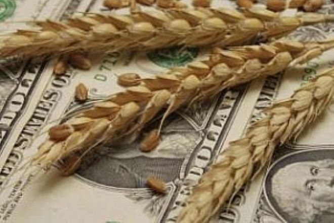 Колебливо и донякъде разнопосочно движение на цените на различните зърнени