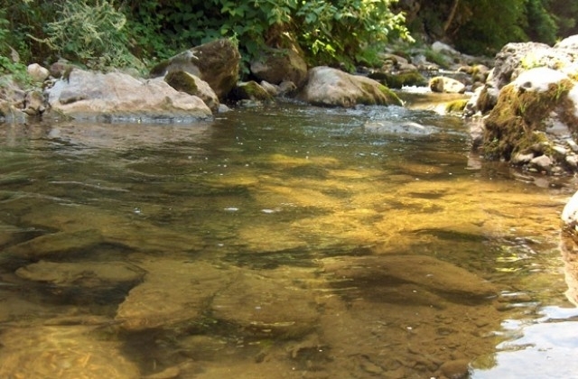 Експерти от регионалната инспекция по околната среда и водите във