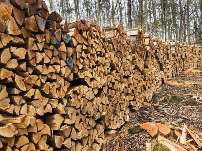 В момента дървата за огрев са с близо 30% по-евтини