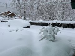 Осем национални пътя в Румъния остават затворени заради обилен сняг