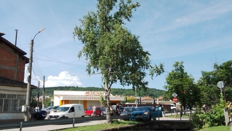 Две коли се натресоха тази сутрин в Монтана научи агенция